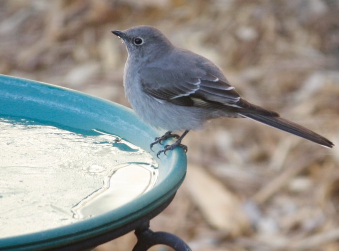 ????????????????????