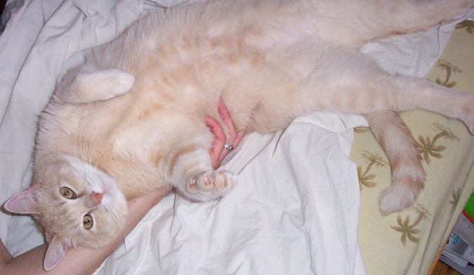 Making that constant contact