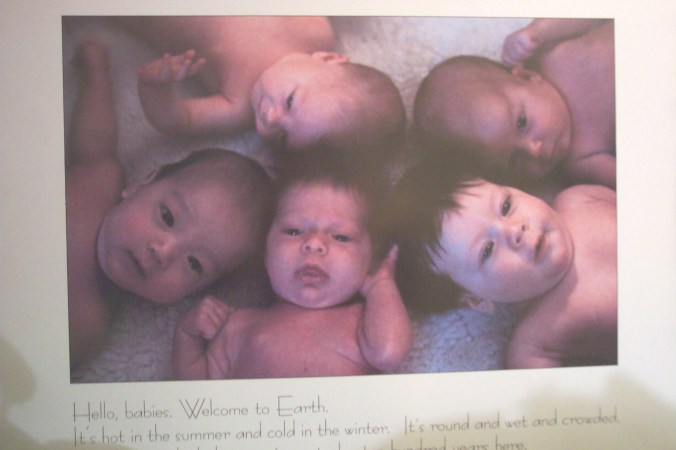 (I can't find photographer's name)