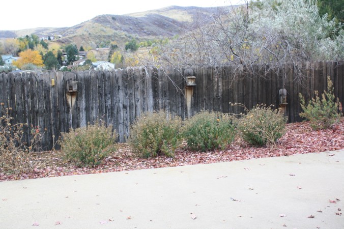 View from my treadmill.