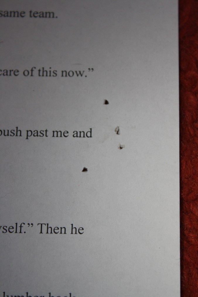 Cats and revision pages 017