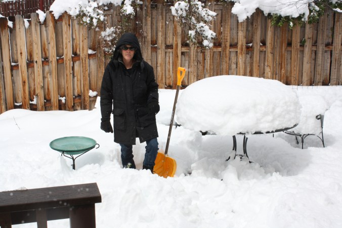 Me several feet away from buried daffodils.