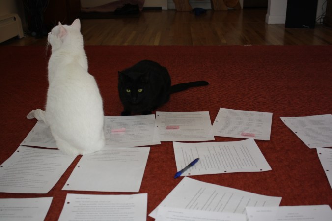 Marcel and Loki insert themselves into the process.