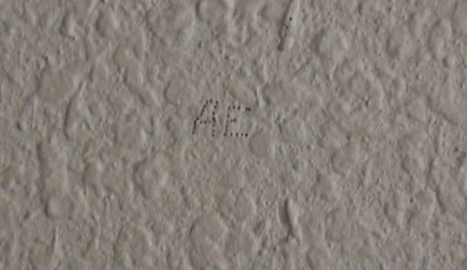 _mg_0300-amelia-earhart-inititals