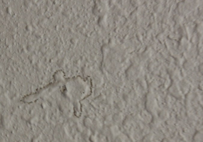 _mg_0303-route-or-island