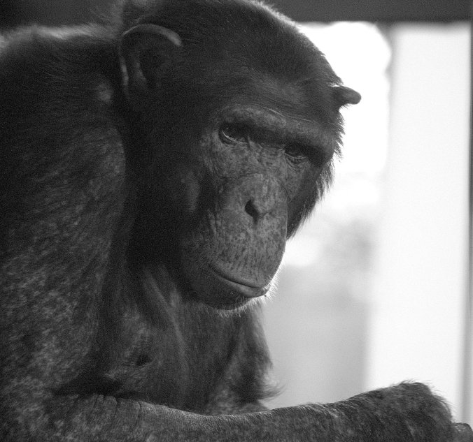 Image from Morguefile