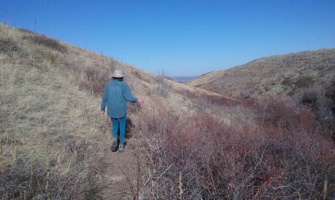 Me meandering ahead of Zippy. We'd just scared up a Red-tailed Hawk, some magpies, and a flicker.