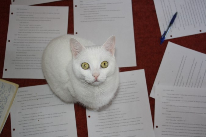 Marcel waiting for my next move.