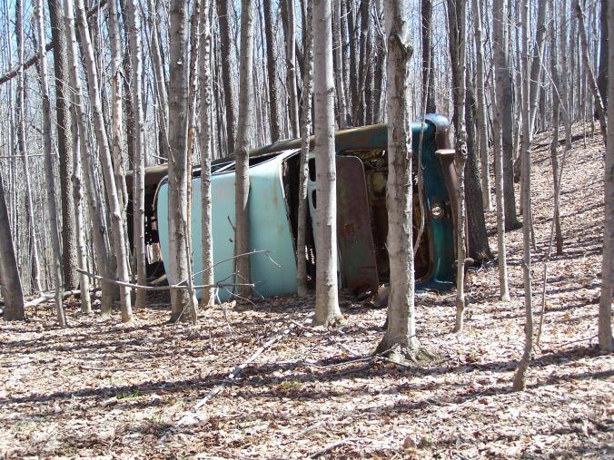 Image from Morguefile.com