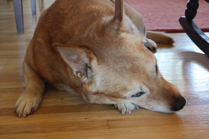 zoey-averting-her-gaze